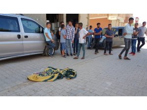 Şanlıurfa’da yolcu minibüsünün çarptığı çocuk öldü