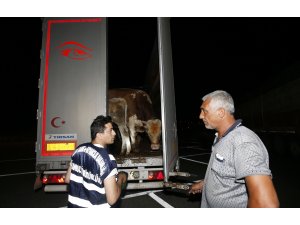 Kurban Bayramı'na doğru