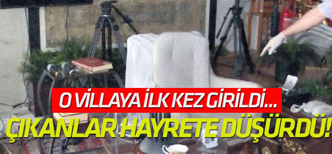 Kediciklerin odasından çıkanlar hayrete düşürdü!