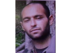 GÜNCELLEME - Tunceli'de 6 terörist etkisiz hale getirildi