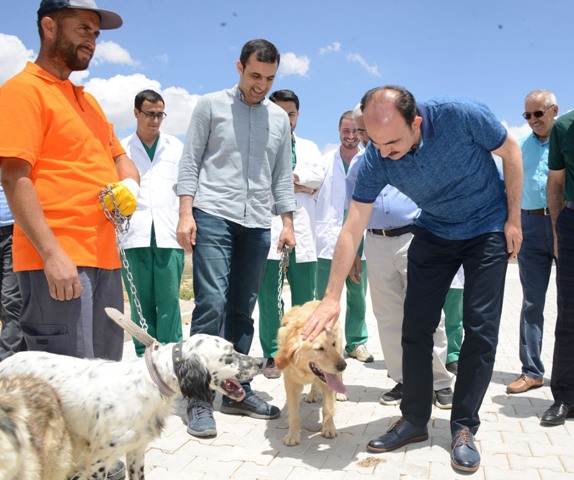 Sokak Hayvanları İçin Bir Kap Yemek Bir Kap Su