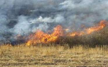 10 dekarlık buğday ekili alan kül oldu