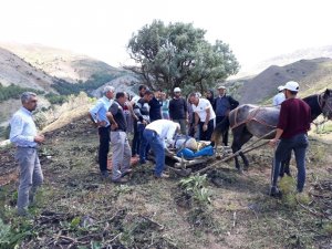 Eşekle uçuruma yuvarlandı, 112 ekipleri kurtardı