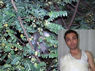 Fotoğraf çekerken ağaçtan düştü