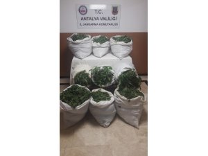 Antalya'da uyuşturucu operasyonu