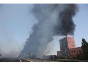 İtalya’daki patlamada 1 kişi hayatını kaybetti