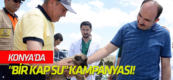 Konya'da "Bir Kap Yemek Bir Kap Su" kampanyası!
