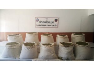 Diyarbakır’da 284 kilo esrar ve 2 bin kök kenevir ele geçirildi