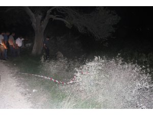 Ormanlık alanda kadın cesedi bulundu