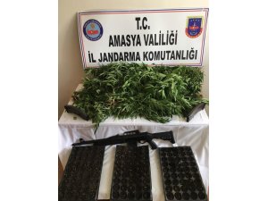 Jandarmadan uyuşturucu operasyonu