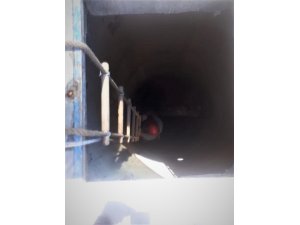 Kuyuya düşen kedi kurtarıldı