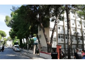 Polisin iki saatlik nöbeti, ağaç kesilince sona erdi