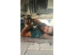 Otomobilin motor kısmına sıkışan kediyi vatandaş kurtardı