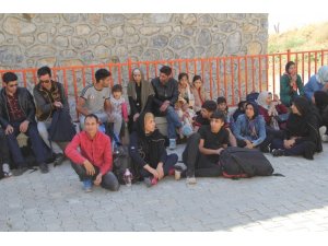 Başkale’de 43 kaçak göçmen yakalandı