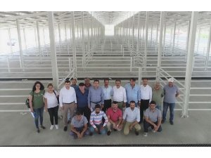 Uşak, Kurban Bayramı önü modern hayvan pazarına kavuşuyor