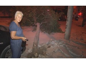 İzmir’de ağaç yola devrildi, şans eseri kimse yaralanmadı