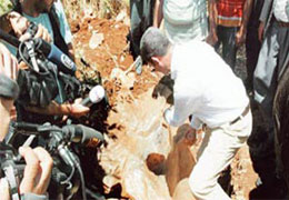 Karşımıza Yine Yeşil Çıktı