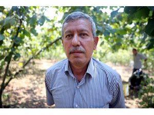 "Fındığı Türkiye'nin sahiplenmesi lazım"