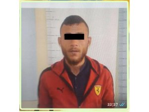 Cezaevi firarisi Ceylanpınar’da yakalandı