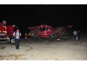 Antalya’da defineciler ormanı yaktı