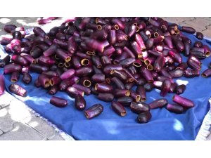 Kilis’te kurutmalık patlıcanlar oyulmaya başlandı