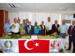 Salihli’de sezonun ilk üzümü kilosu 170 TL’den satıldı