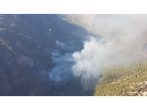 Köyceğiz’de yeniden başlayan yangın kontrol altına alındı