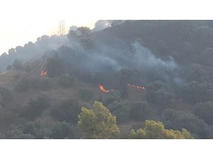 Nazilli’de arazi yangını 1.5 hektar alan cayır cayır yandı