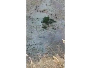 Polisi şehit eden teröristler böyle etkisiz hale getirildi