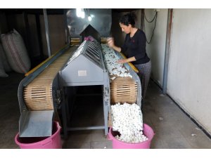 İpek üretiminin başkenti Diyarbakır