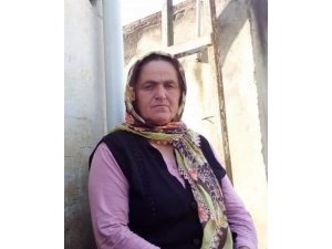 Budamak için çıktığı ağaçtan düşerek öldü