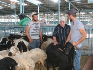 Bayrama sayılı günler kala hayvan pazarında durgunluk yaşanıyor