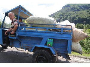 Fındık üreticisi sel sonrası yeniden bahçelerde