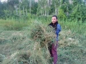 Çiftçiden dolar ve altının yükselişine tepki