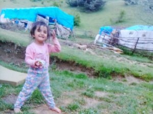 Evrim, 32 gündür kayıp olarak aranıyor