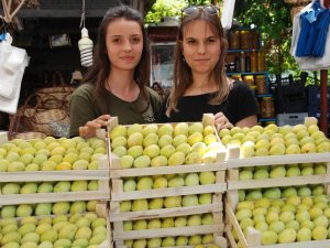 Silifke’de incir, üreticisinin yüzünü güldürüyor