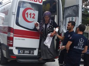 Beslediği köpek hastanelik etti