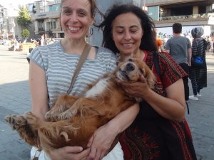2 bin lira ödüllü köpek, Taksim metrosunda bulundu