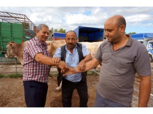 Trakya'daki hayvan pazarlarında yoğunluk