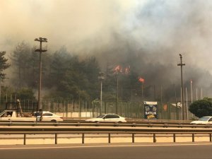 Bursa’daki yangını söndürmek için Balıkesir ve Karabük’ten helikopter, Ankara’dan uçak istendi