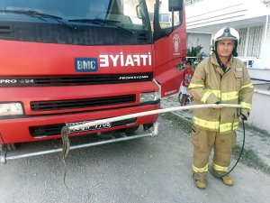 Sitede yılan paniği