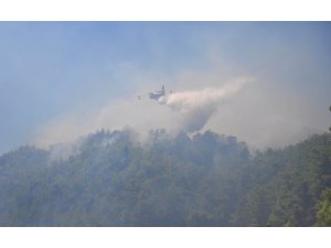 GÜNCELLEME - Antalya'da orman yangını