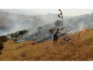 Piknikçilerden kalma küller az daha beldeyi yakıyordu