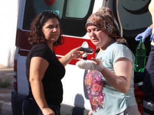 Antalya’da ağlatan yangın