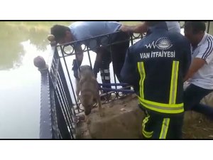 İtfaiyeden köpek kurtarma operasyonu