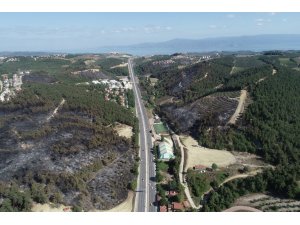 Bursa'daki orman yangını