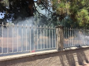 Jandarmanın dikkati sayesinde onlarca ağaç son anda kurtarıldı
