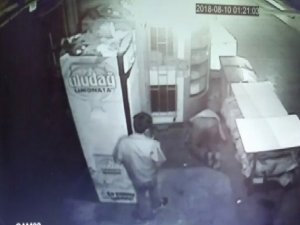 Meşrubat hırsızlığı güvenlik kamerasında