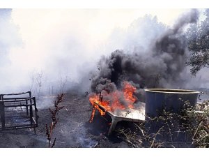 Arazi yangınında zeytin ağaçları da yandı