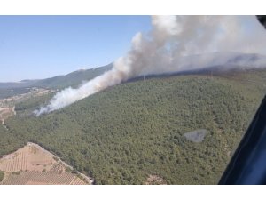 Soma’da orman yangını